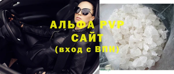 сатива Новокубанск