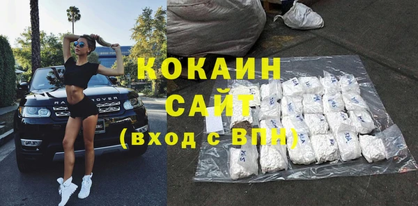 сатива Новокубанск