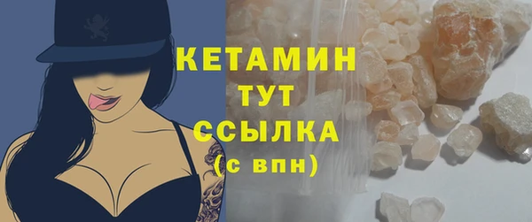 сатива Новокубанск