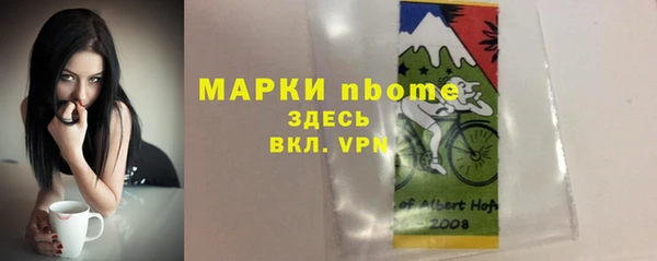 сатива Новокубанск